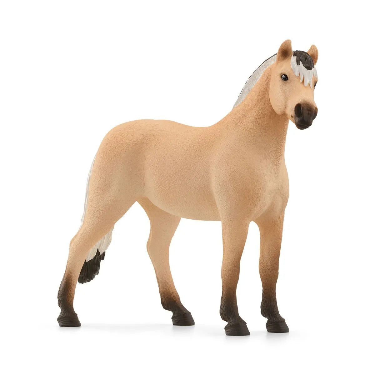 SC13979 Norwegian Fjord Horse Gelding
