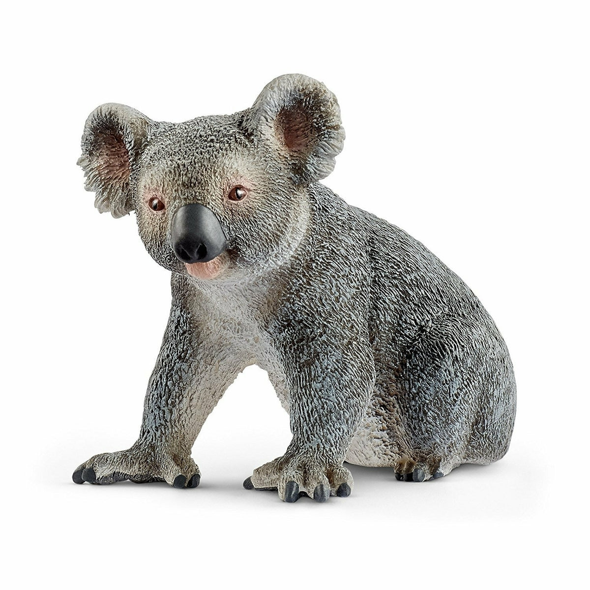 SC14815 Koala