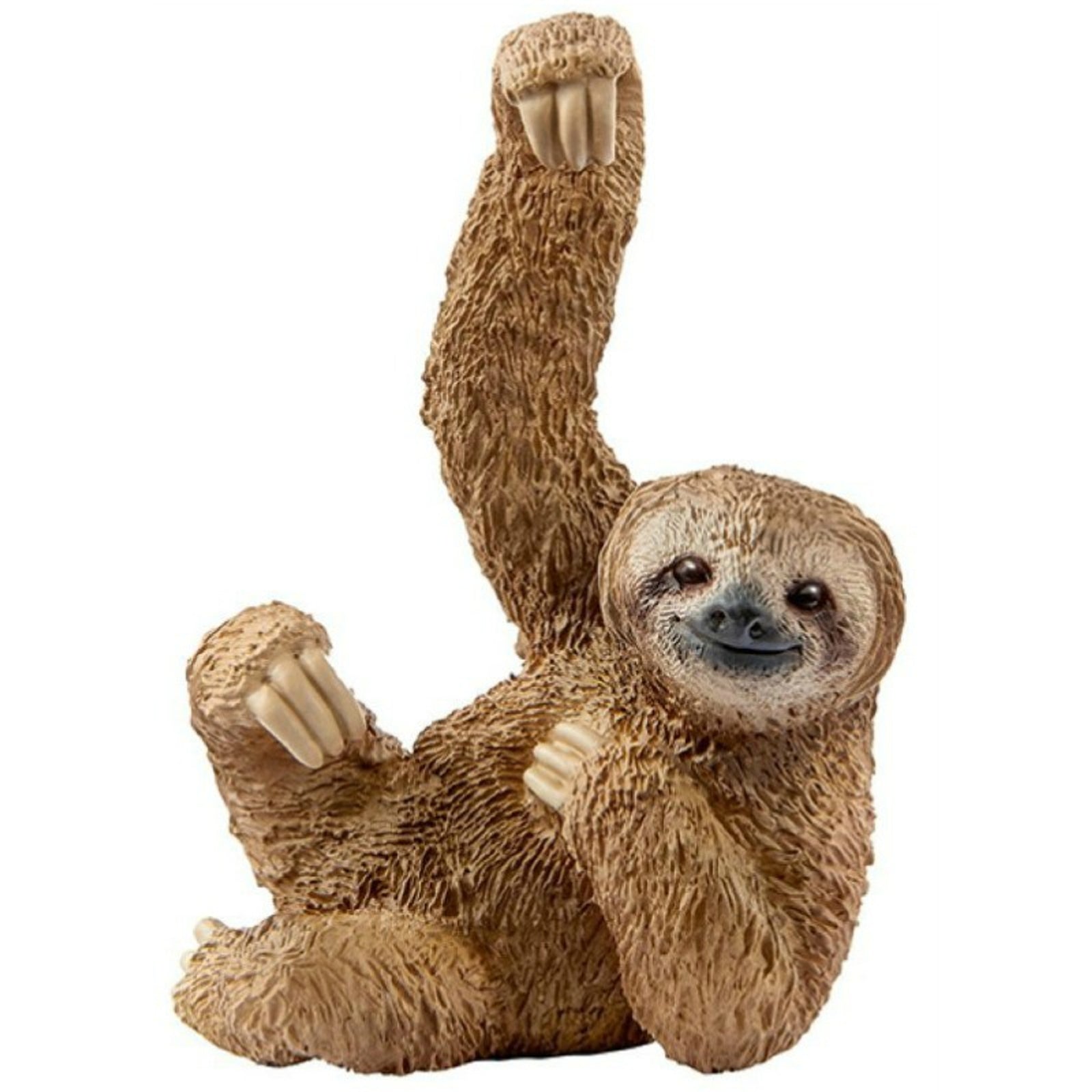SC14793 Sloth