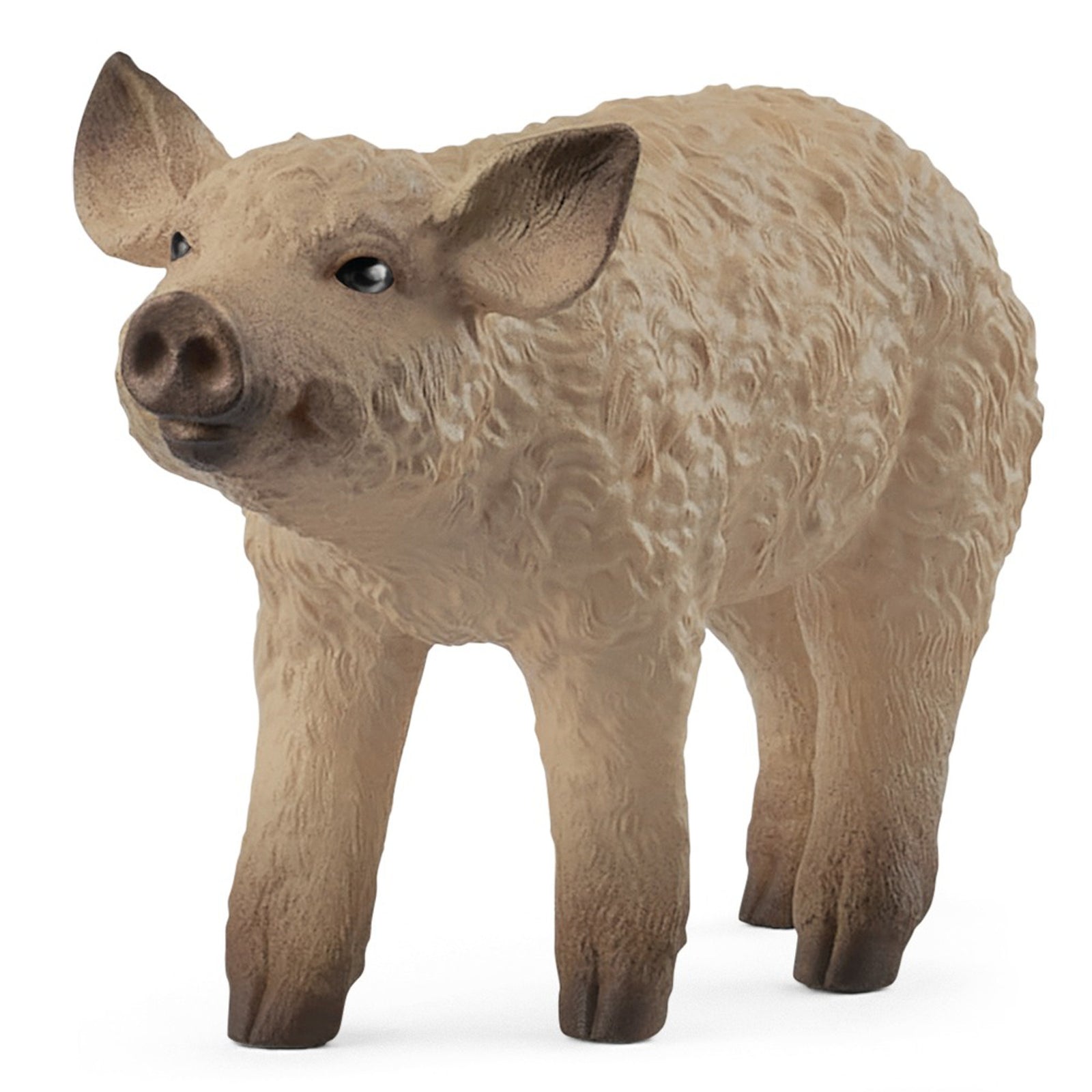 SC14893 Mangalica Piglet