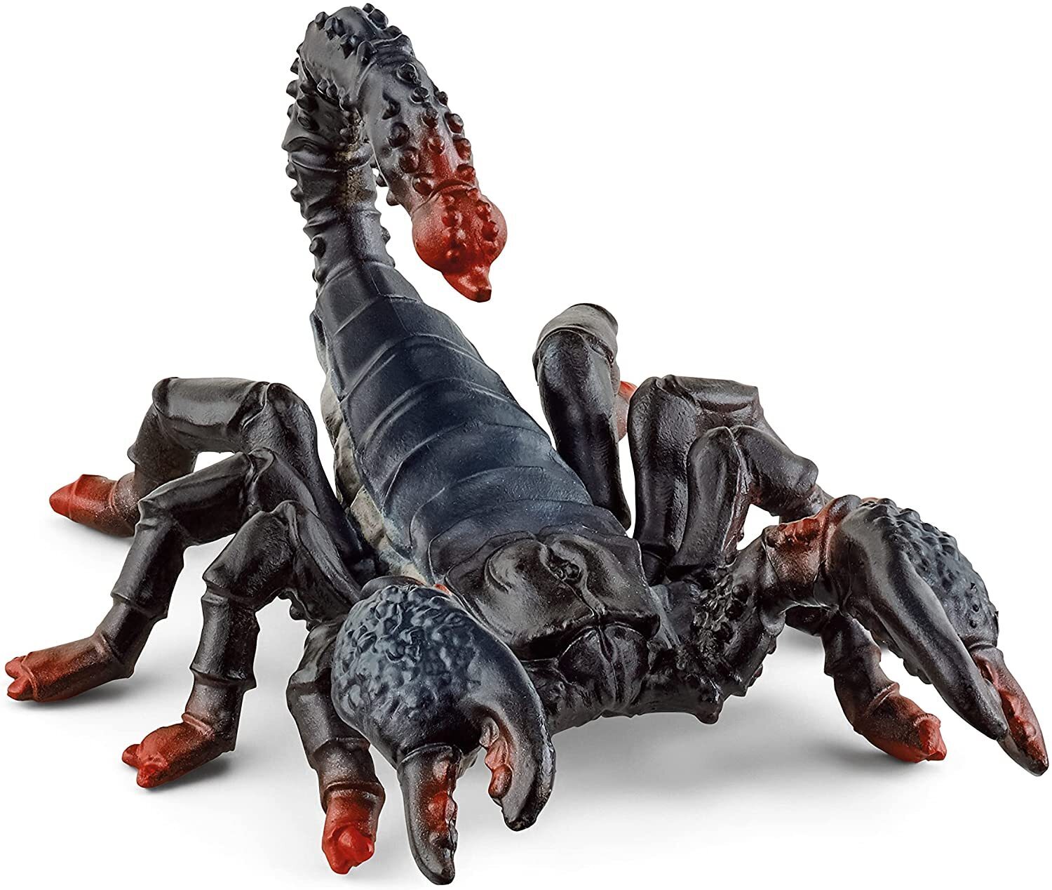 SC14857 Emperor Scorpion