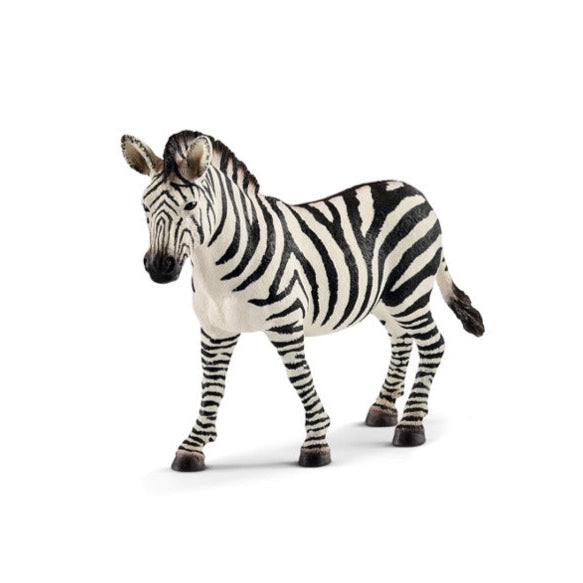 SC14810 Female Zebra