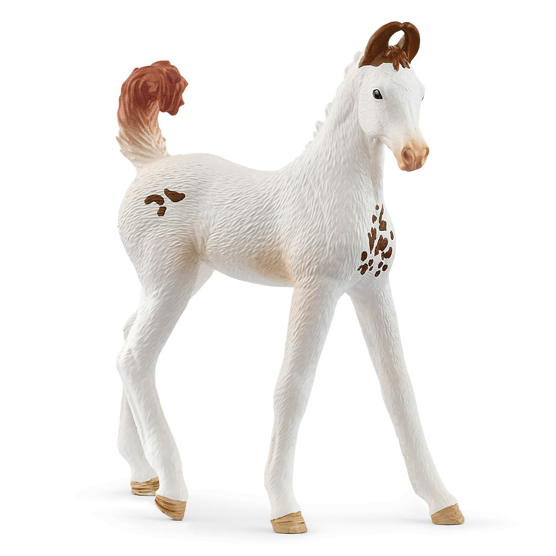 SC14896 Marwari Foal
