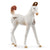 SC14896 Marwari Foal