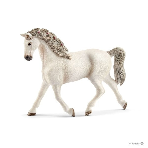 SC13858 Holsteiner Mare
