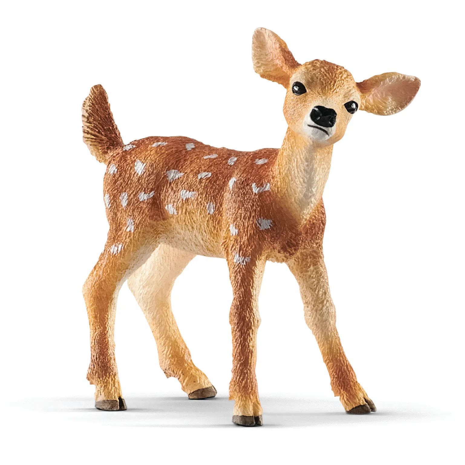 SC14820 White Tailed Fawn