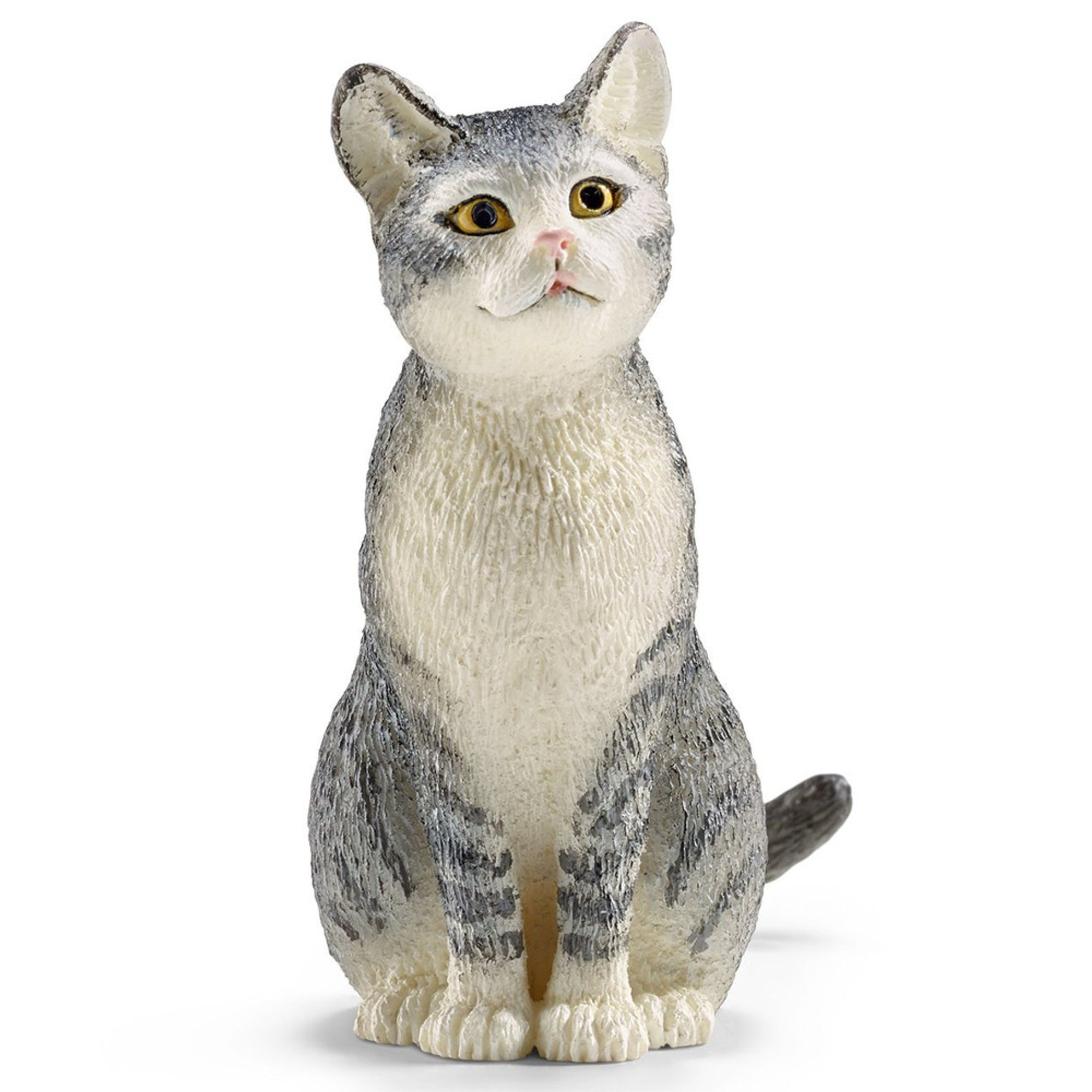 SC13771 Cat Sitting