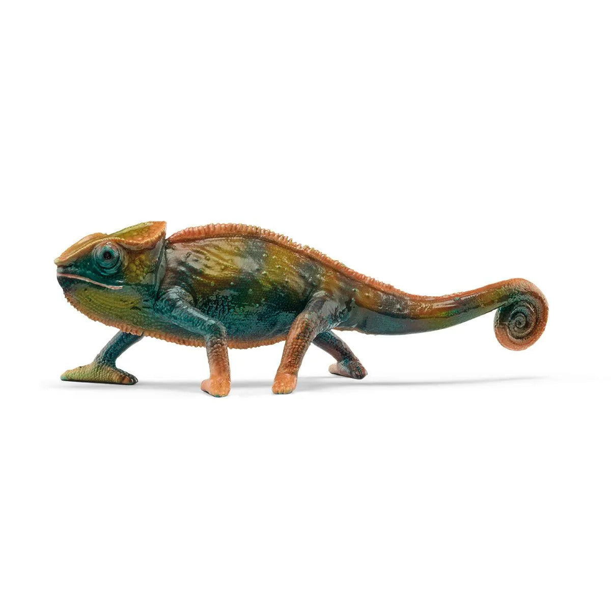 SC14858 Chameleon
