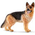 SC16831 German Shepherd