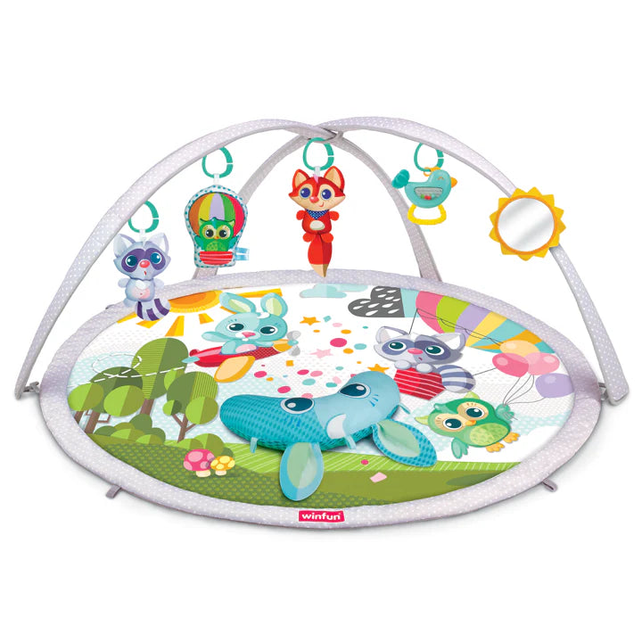 Winfin Baby Space Activity Gym