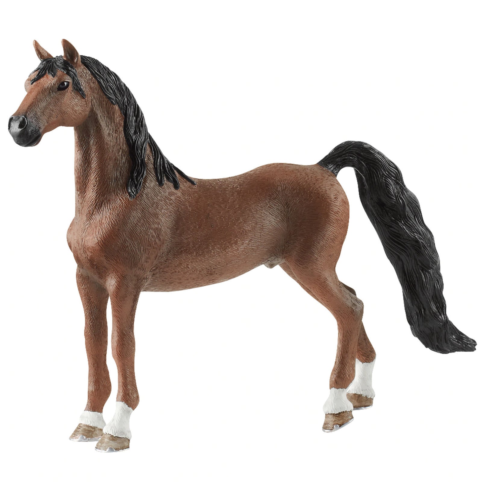 SC13913 American Saddlebred Gelding