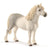 SC13871 Welsh Pony Stallion