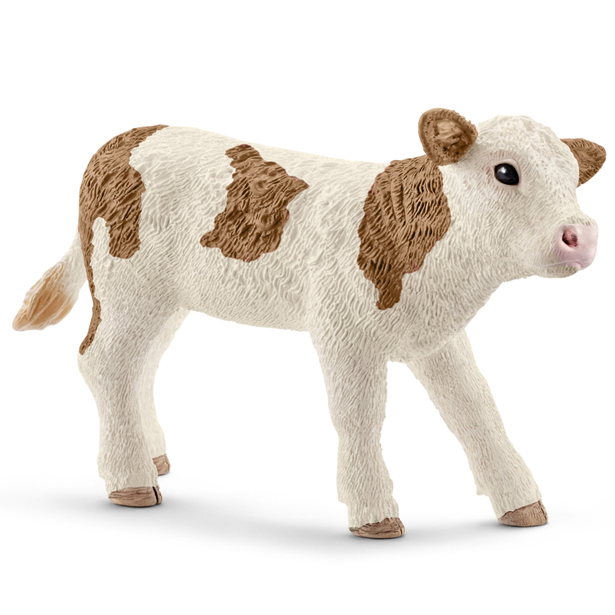 SC13802 Simmental Fleckvieh Calf