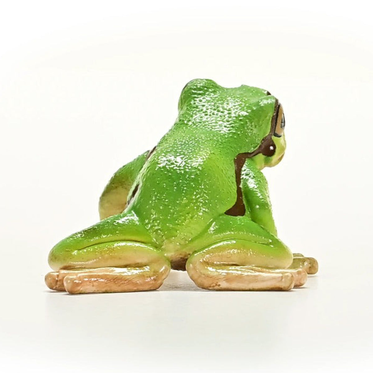 SC14882 European Tree Frog