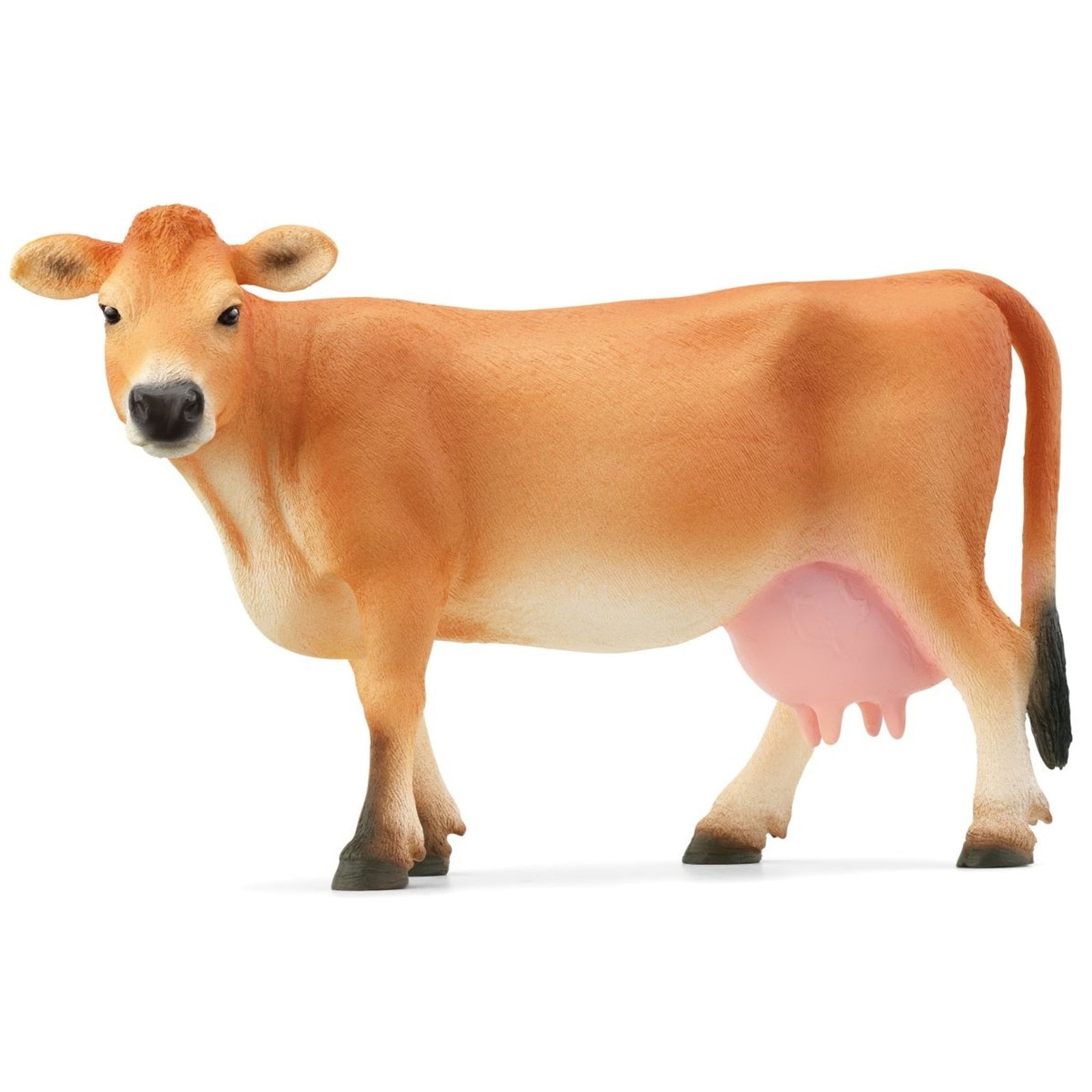 SC13967 Jersey Cow