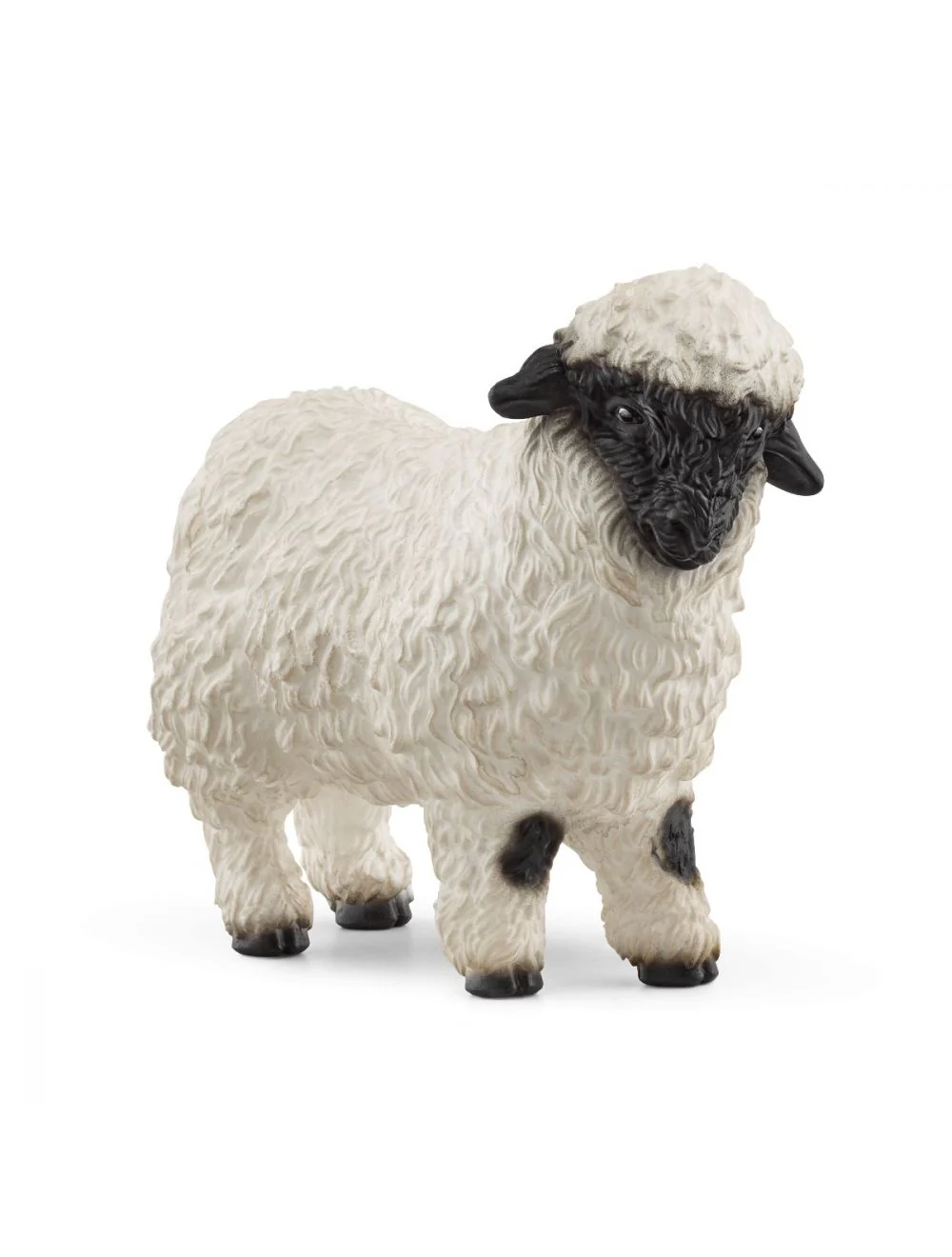 SC13965 Valais Black nose Sheep