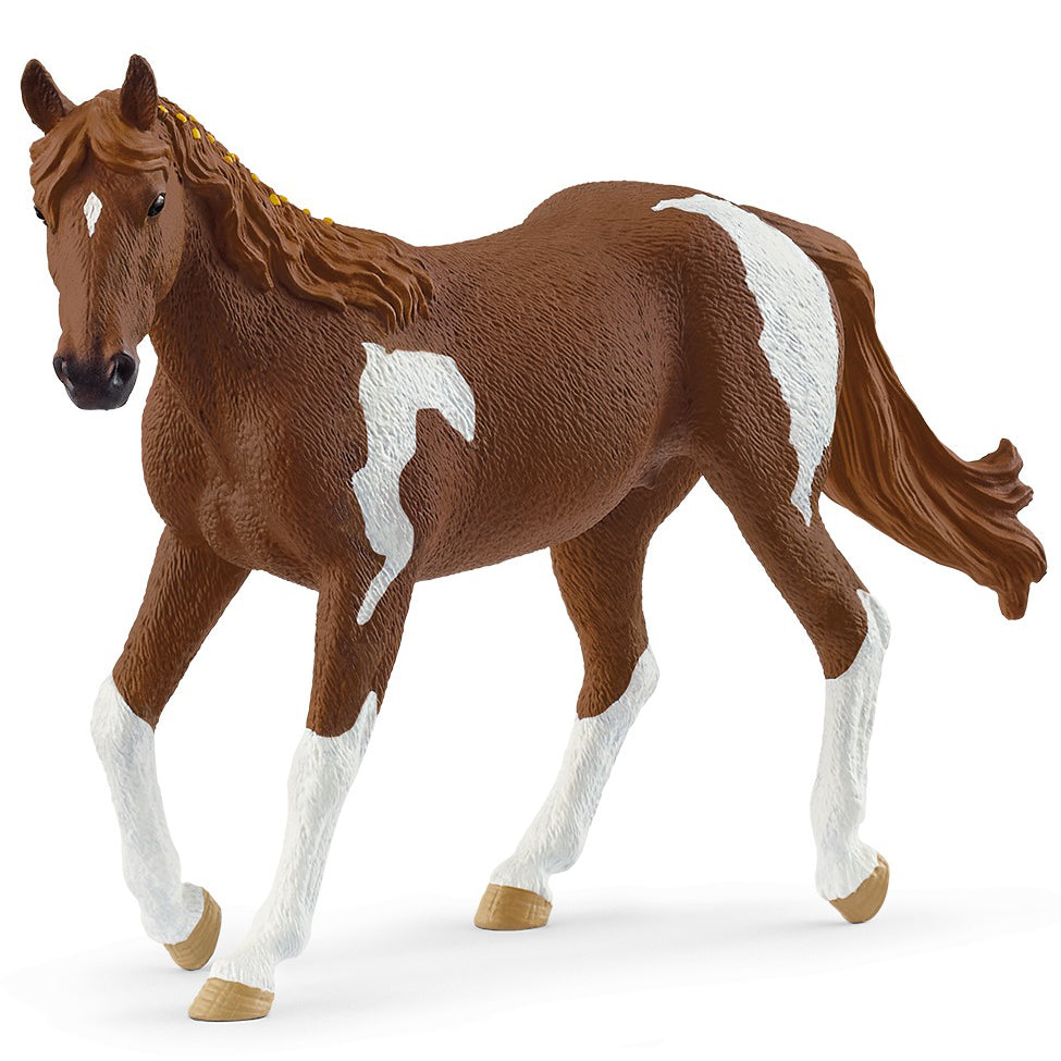 SC14901 Paint Horse Mare