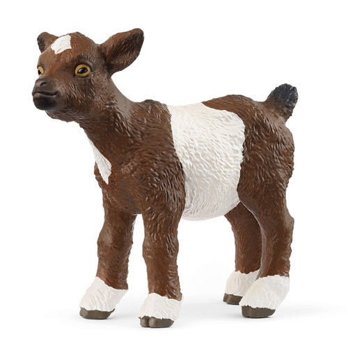 SC14888 Goat Kid 2025 New