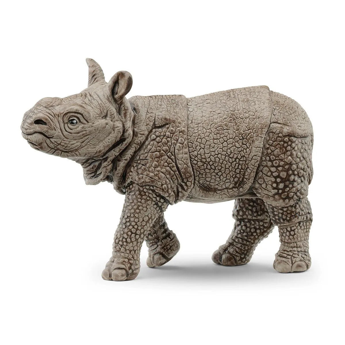SC14860 Indian Rhinoceros Baby