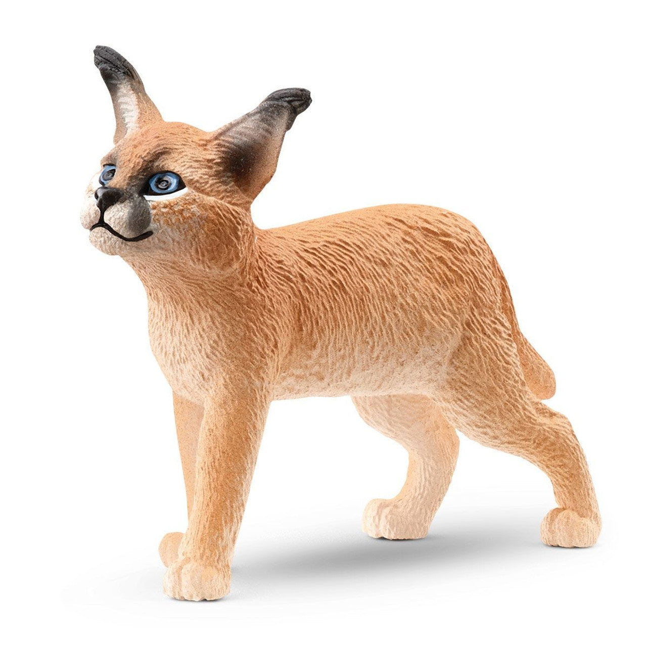 SC14868 Caracal Cub Baby