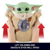 Star Wars The Madalorian and Grogu Pick Me Up