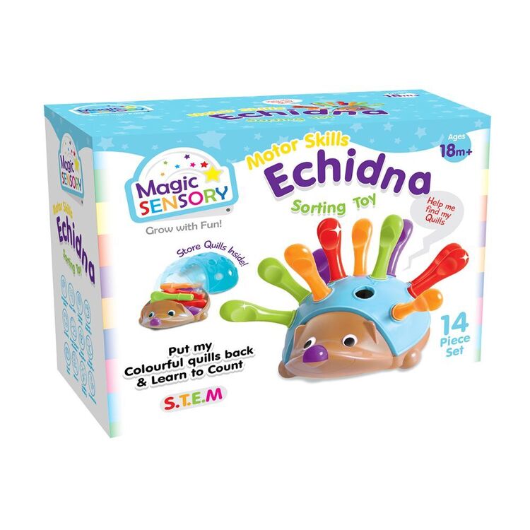 Magic Sensory Motor Skills Echidna Sorting Toy