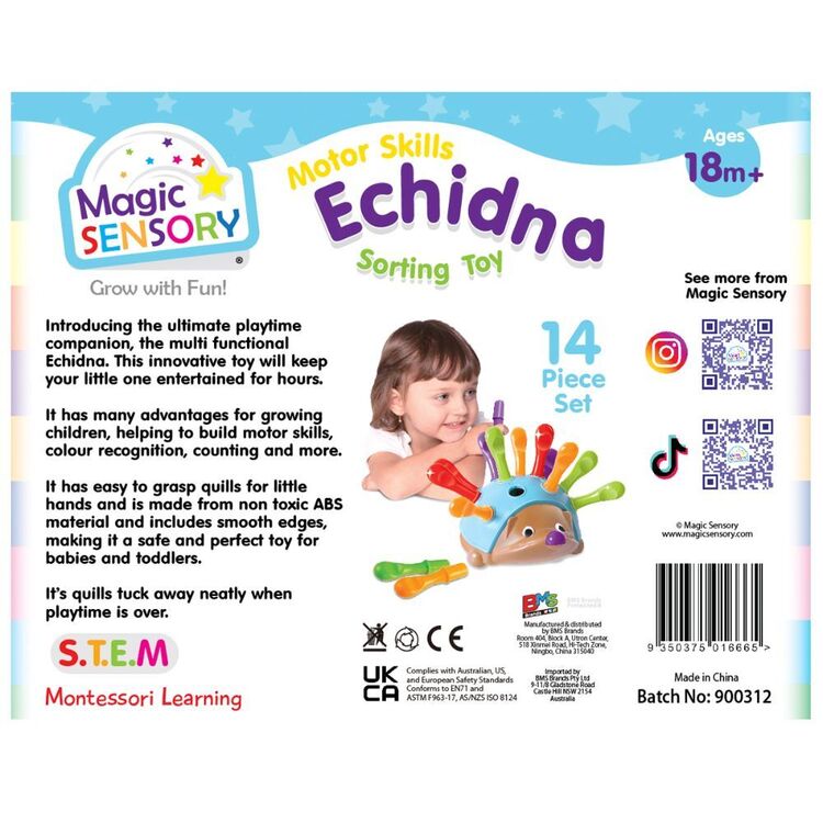 Magic Sensory Motor Skills Echidna Sorting Toy