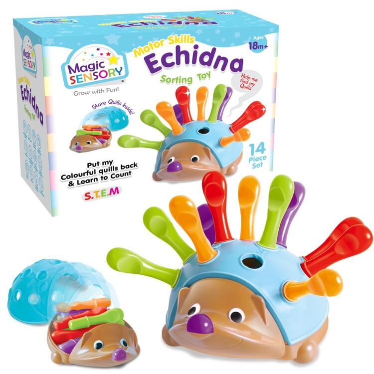 Magic Sensory Motor Skills Echidna Sorting Toy