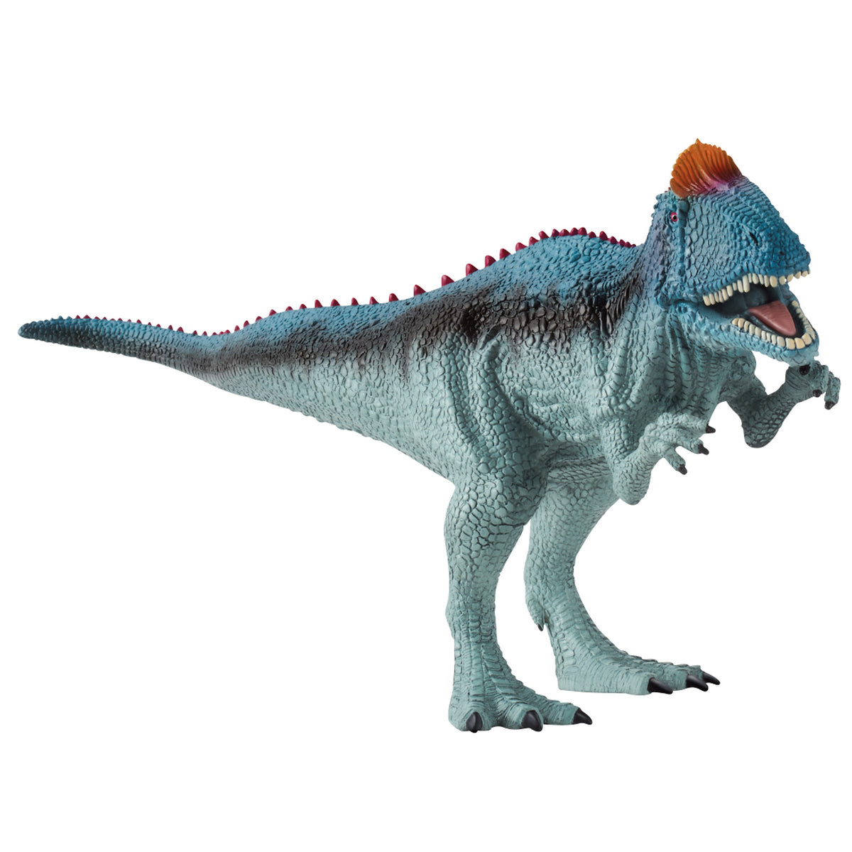 SC15020 Cryolophosaurus