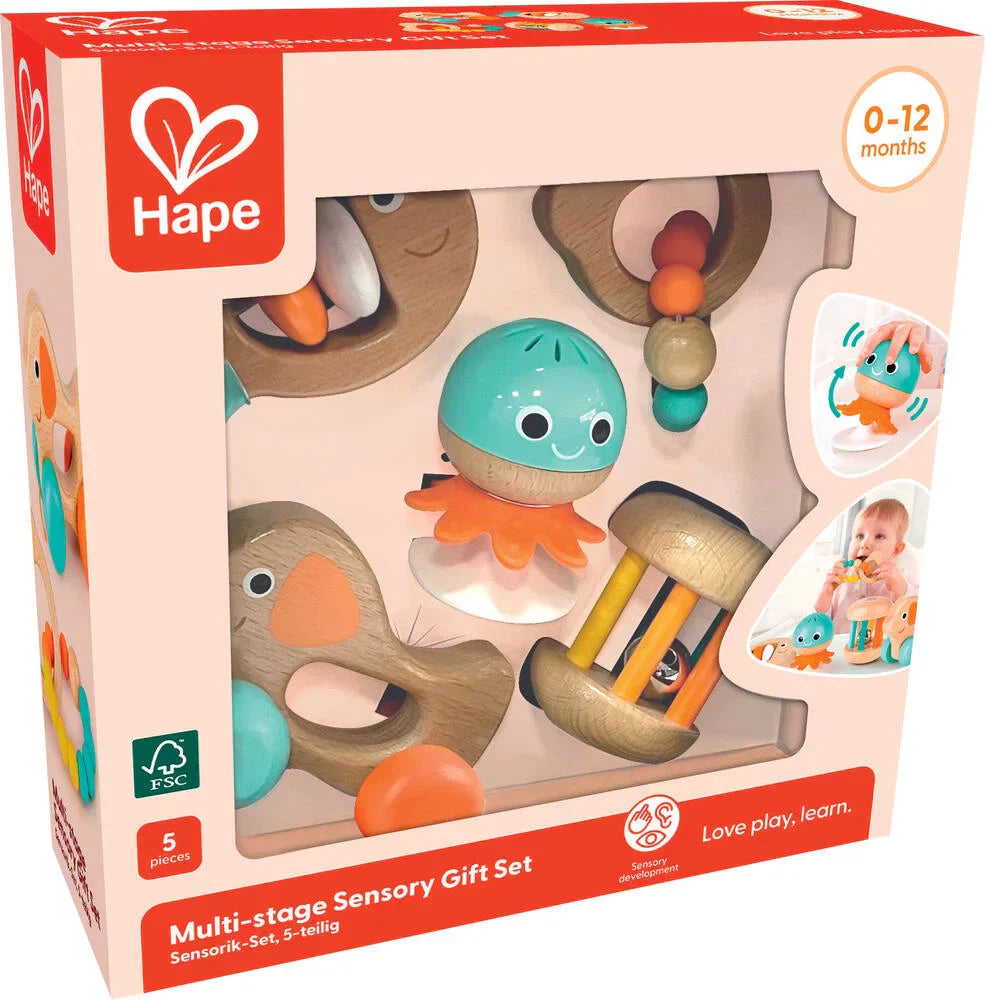 Hape Multi Stage Sensory Gift Set
