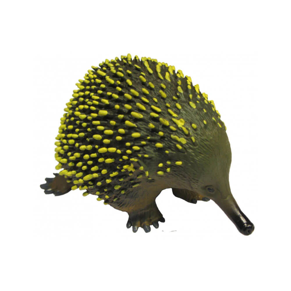 Animals Of Australia Large Echidna