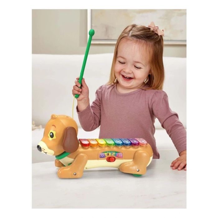 Vtech  Zoo Jamz Doggy Xylophone (incl demo batteries)