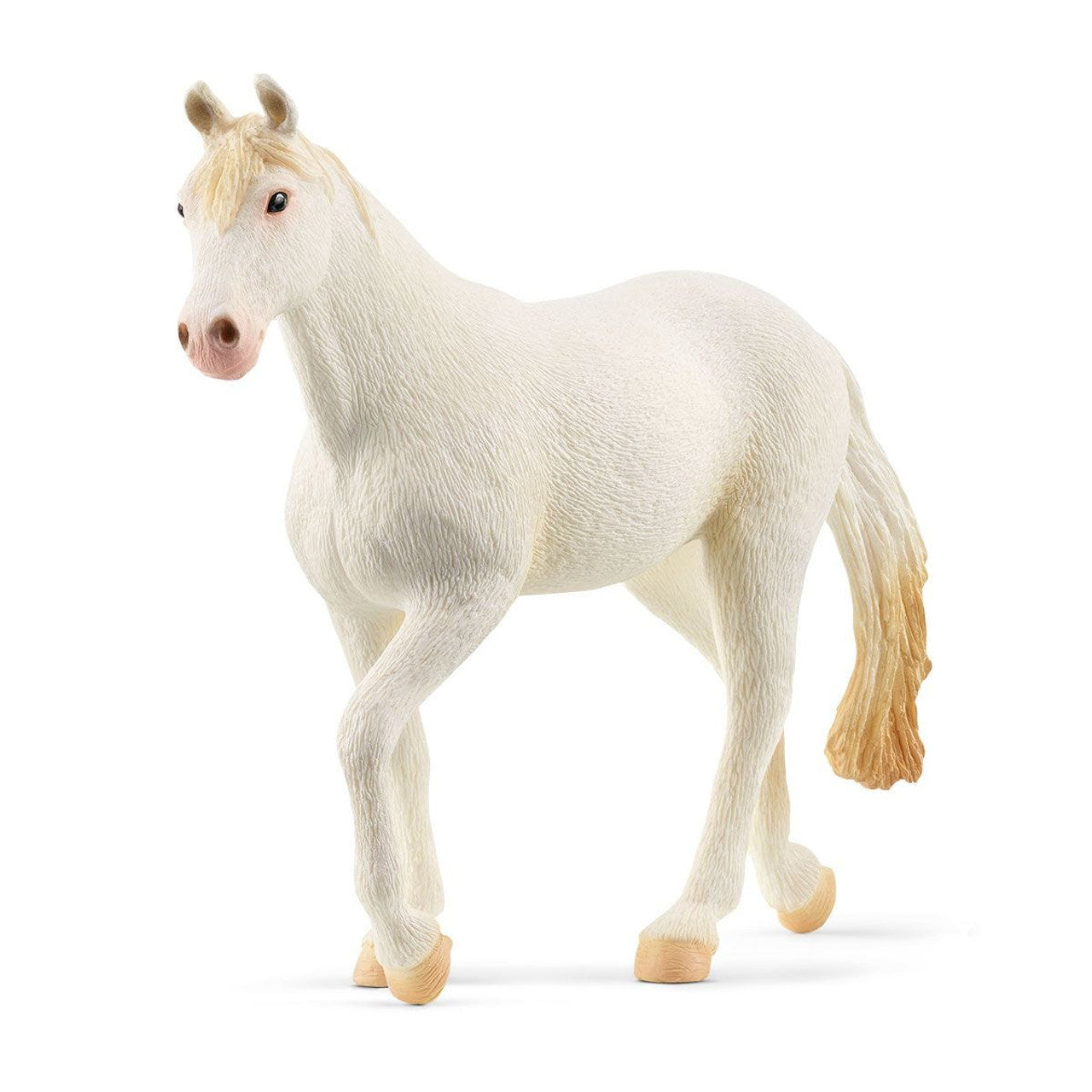 SC13959 Camarillo Mare