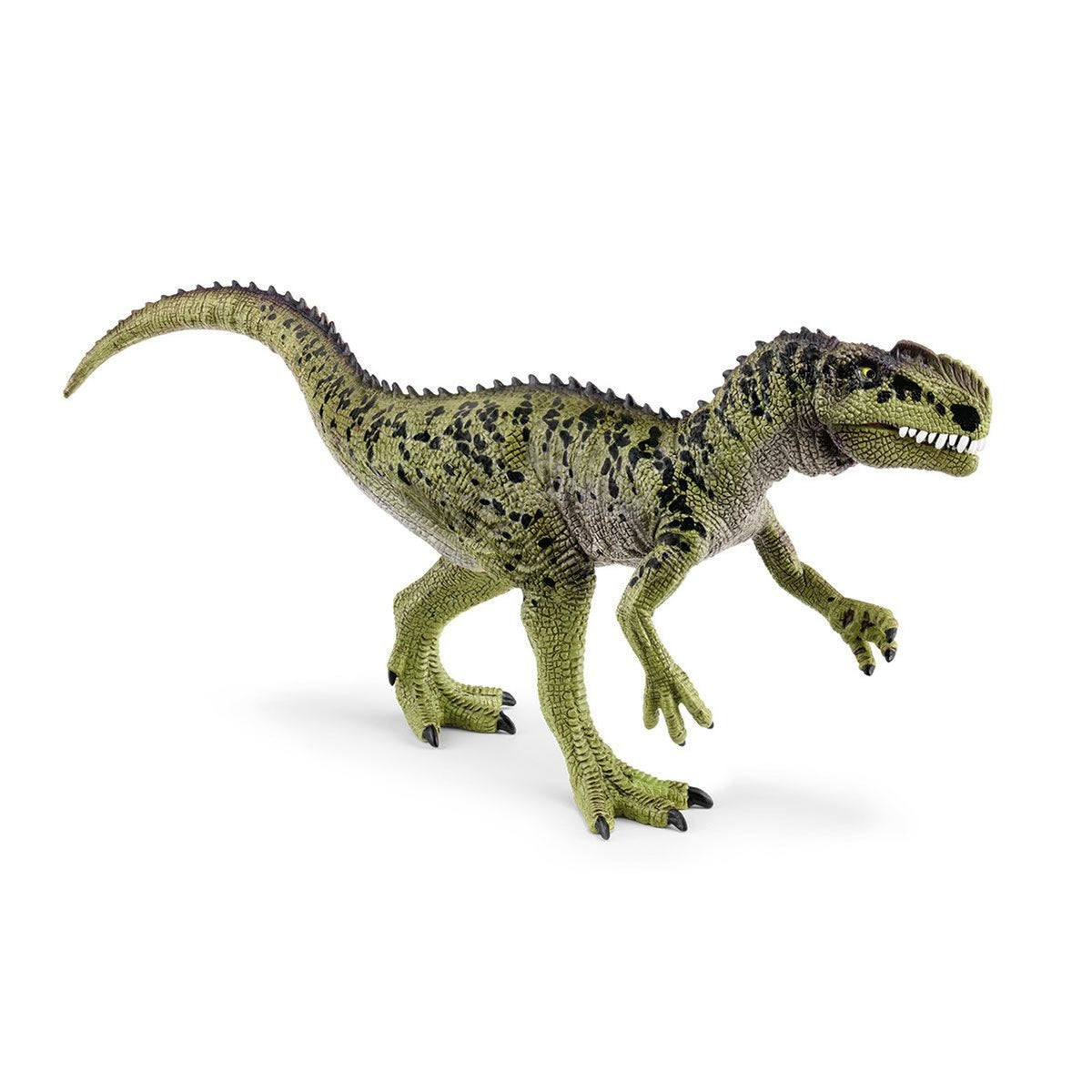 SC15035 Monolophosaurus