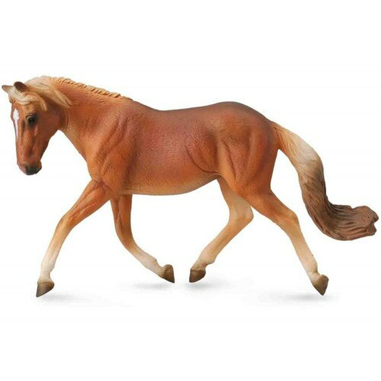 Co88519 Haflinger Mare