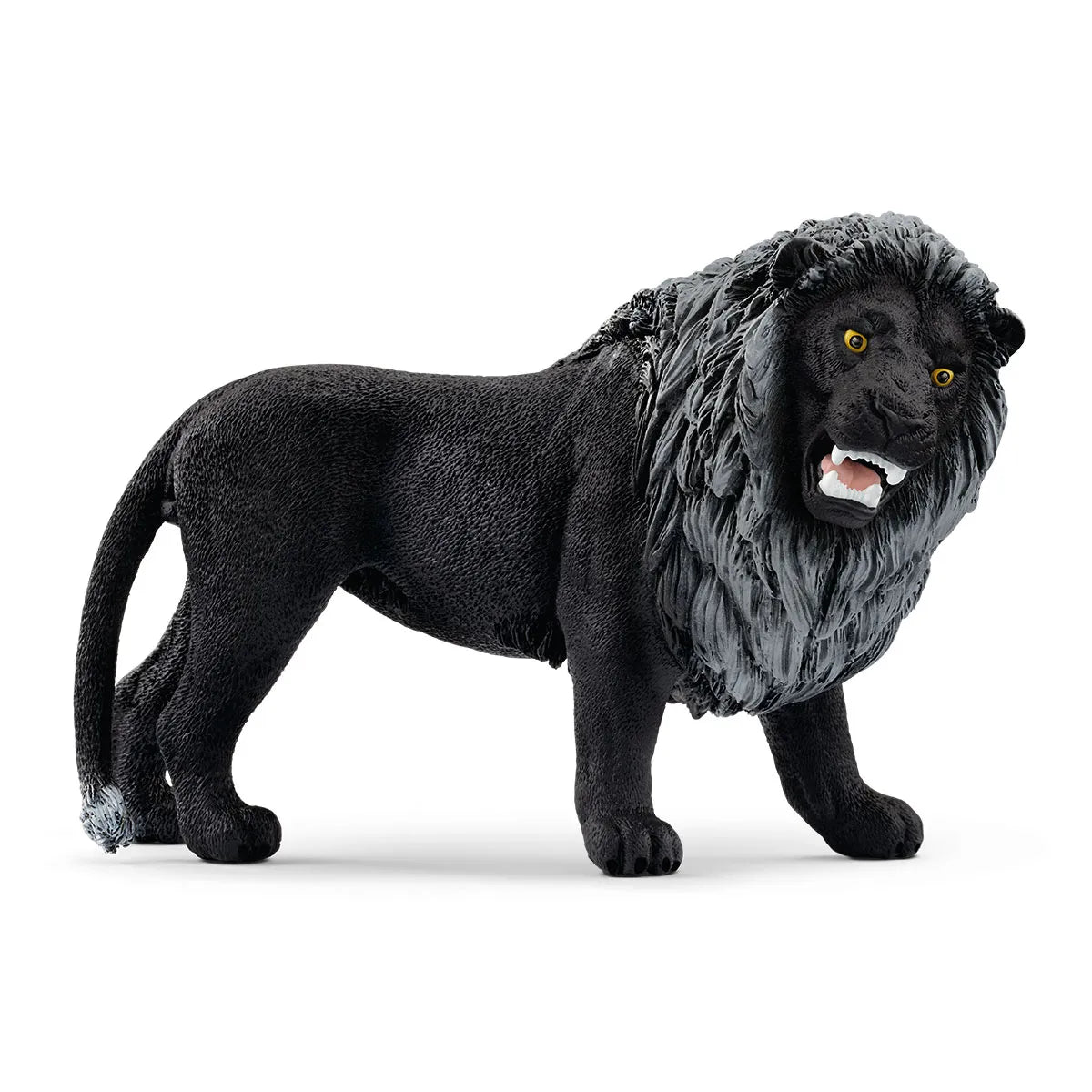 SC72176 Black Lion Roaring Exclusive