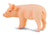 Co88063 Piglet Standing