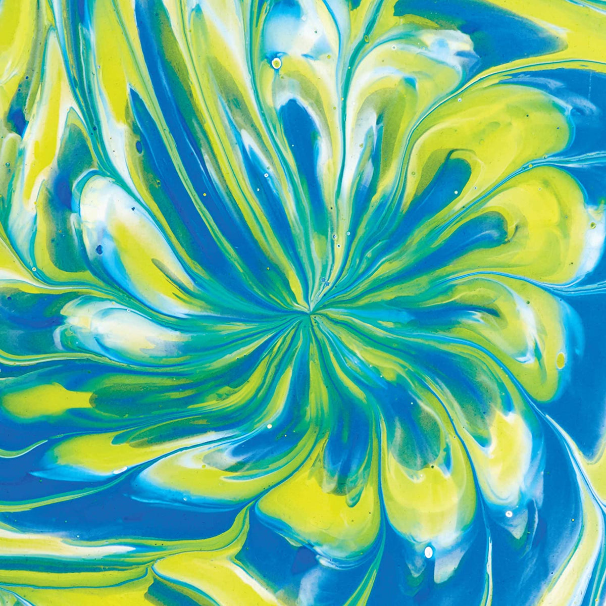 Crayola Washable Paint Pour Art Set