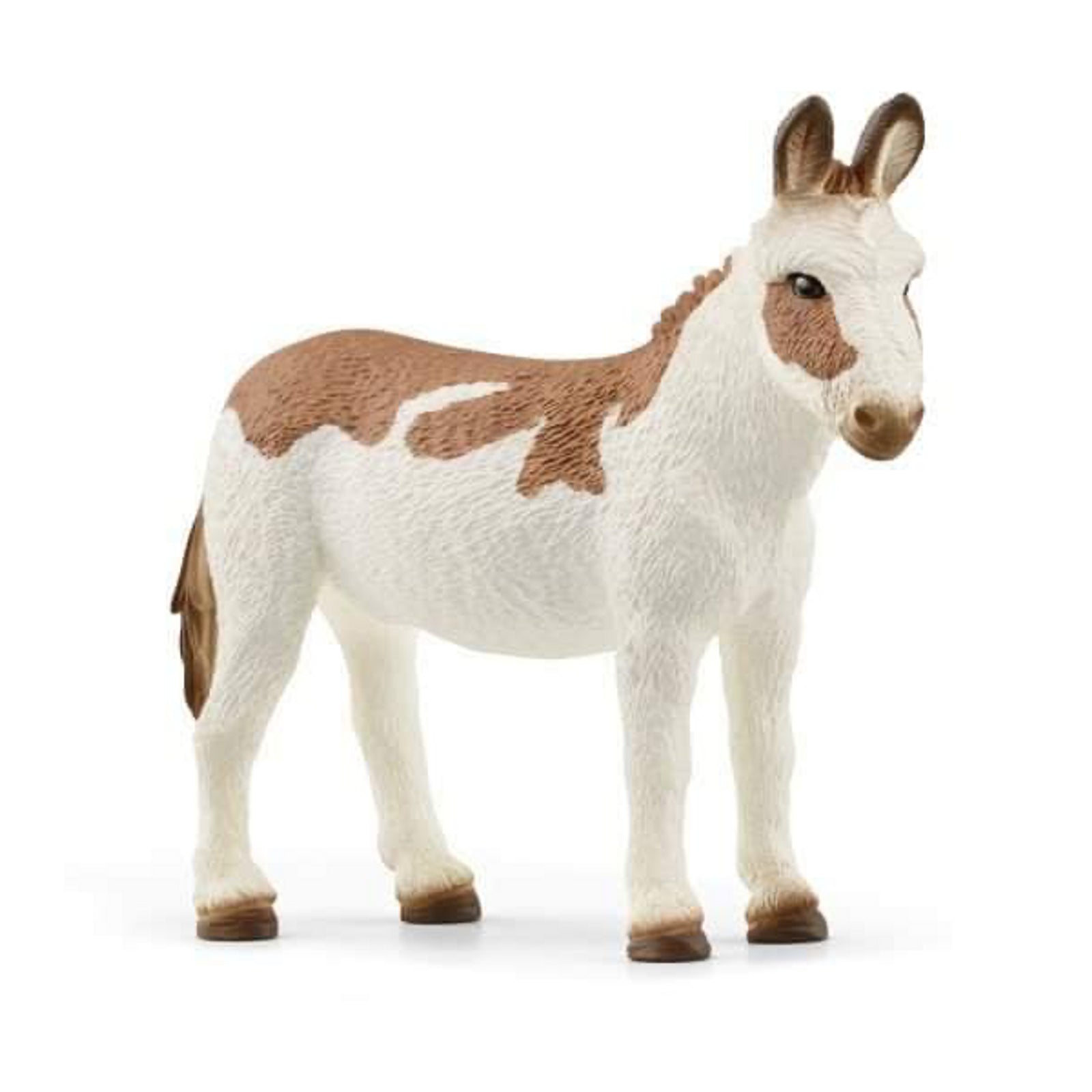 SC13961 American Spotted Donkey