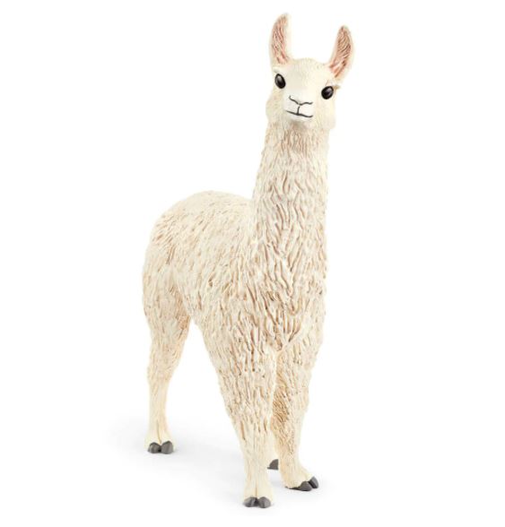 SC13920 Llama