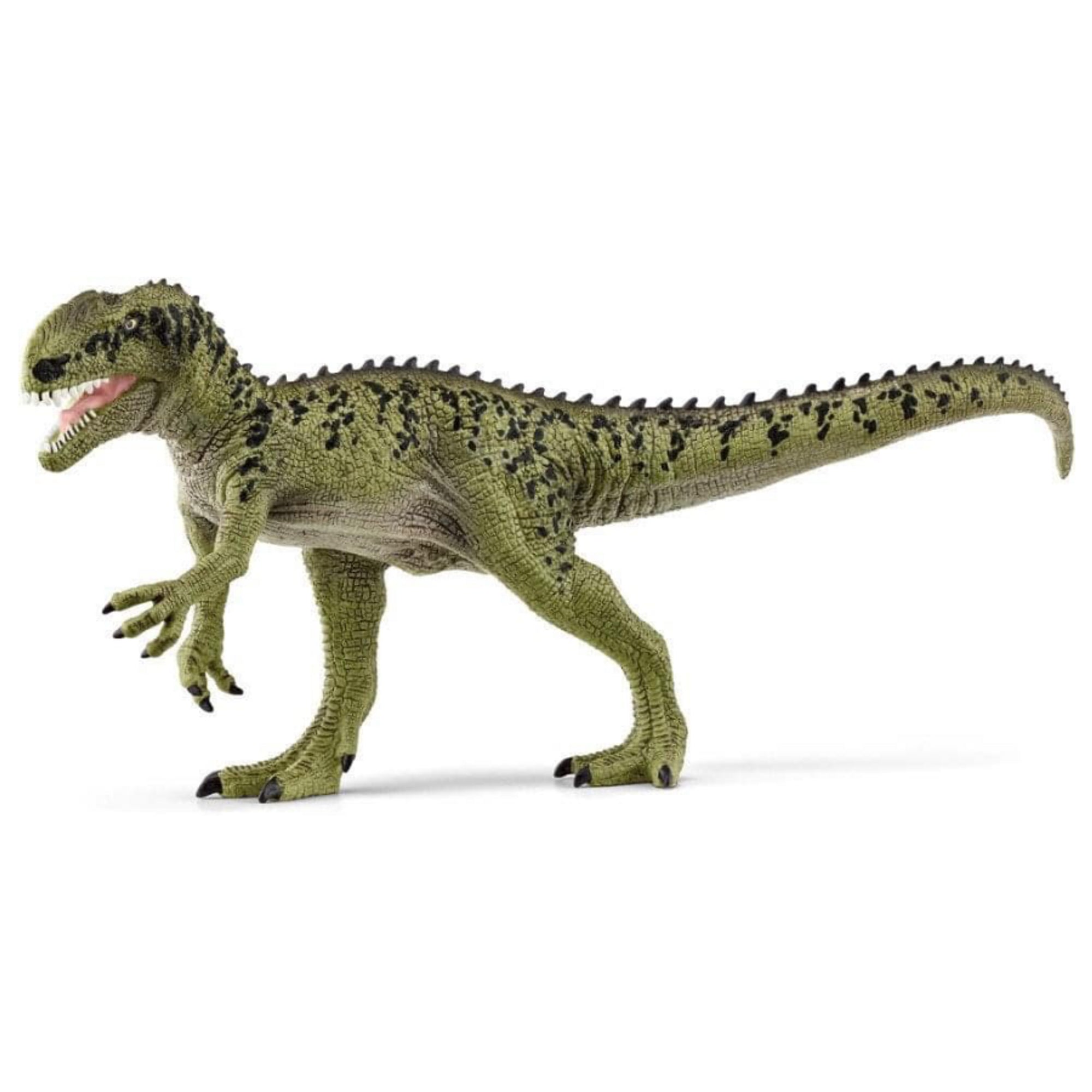 SC15035 Monolophosaurus