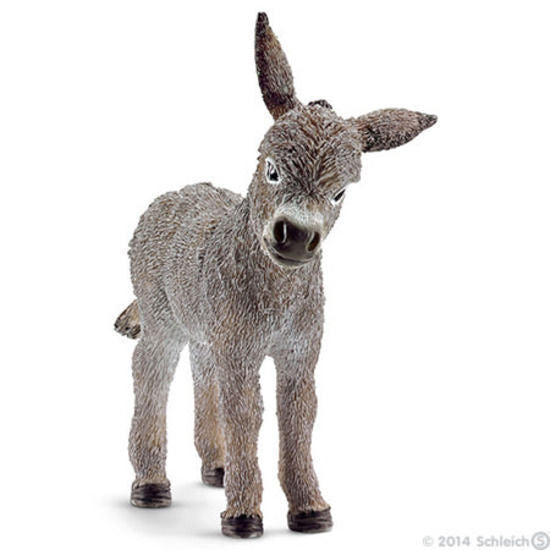 SC13746 Donkey Foal