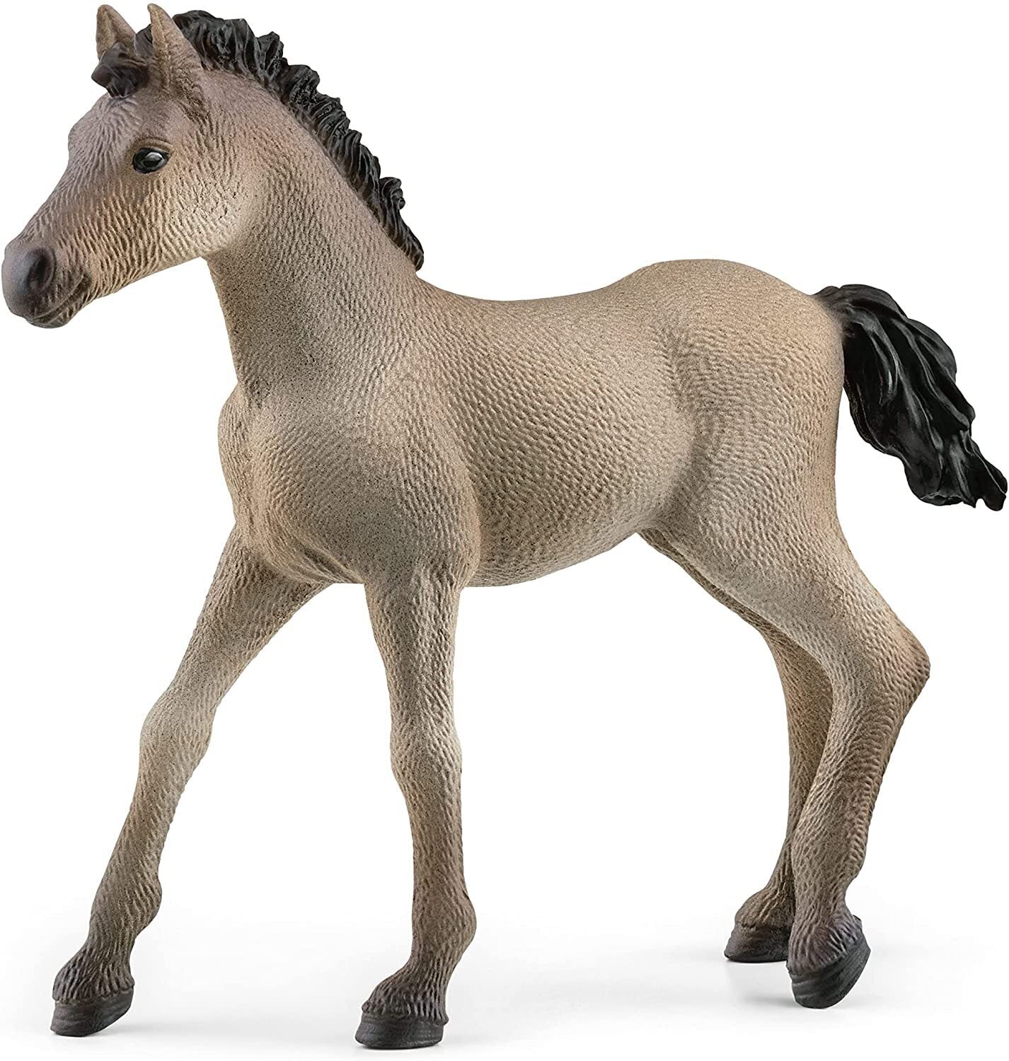 SC13949 Criollo Definitivo Foal