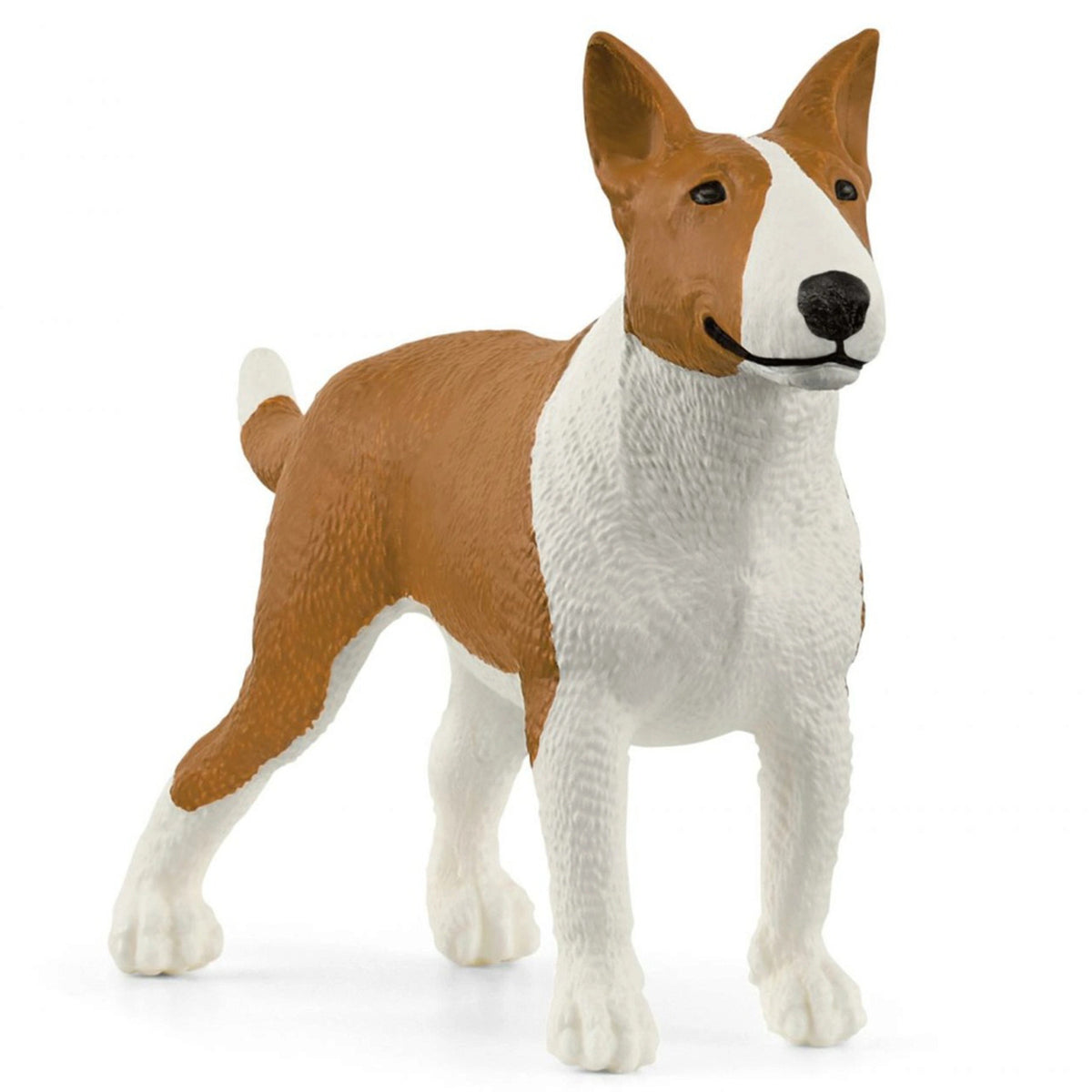 SC13966 Bull Terrier
