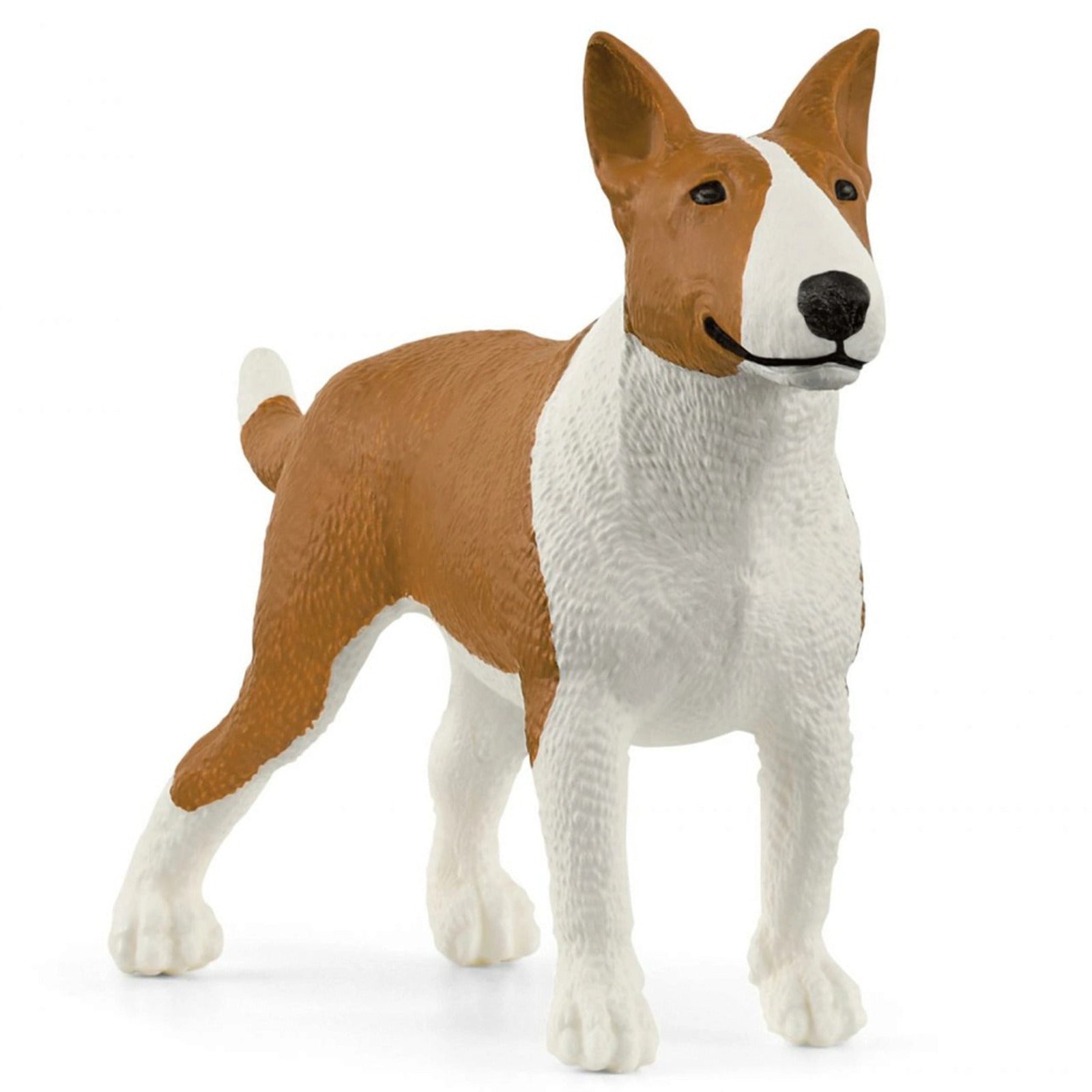 SC13966 Bull Terrier