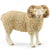 SC13937 Ram