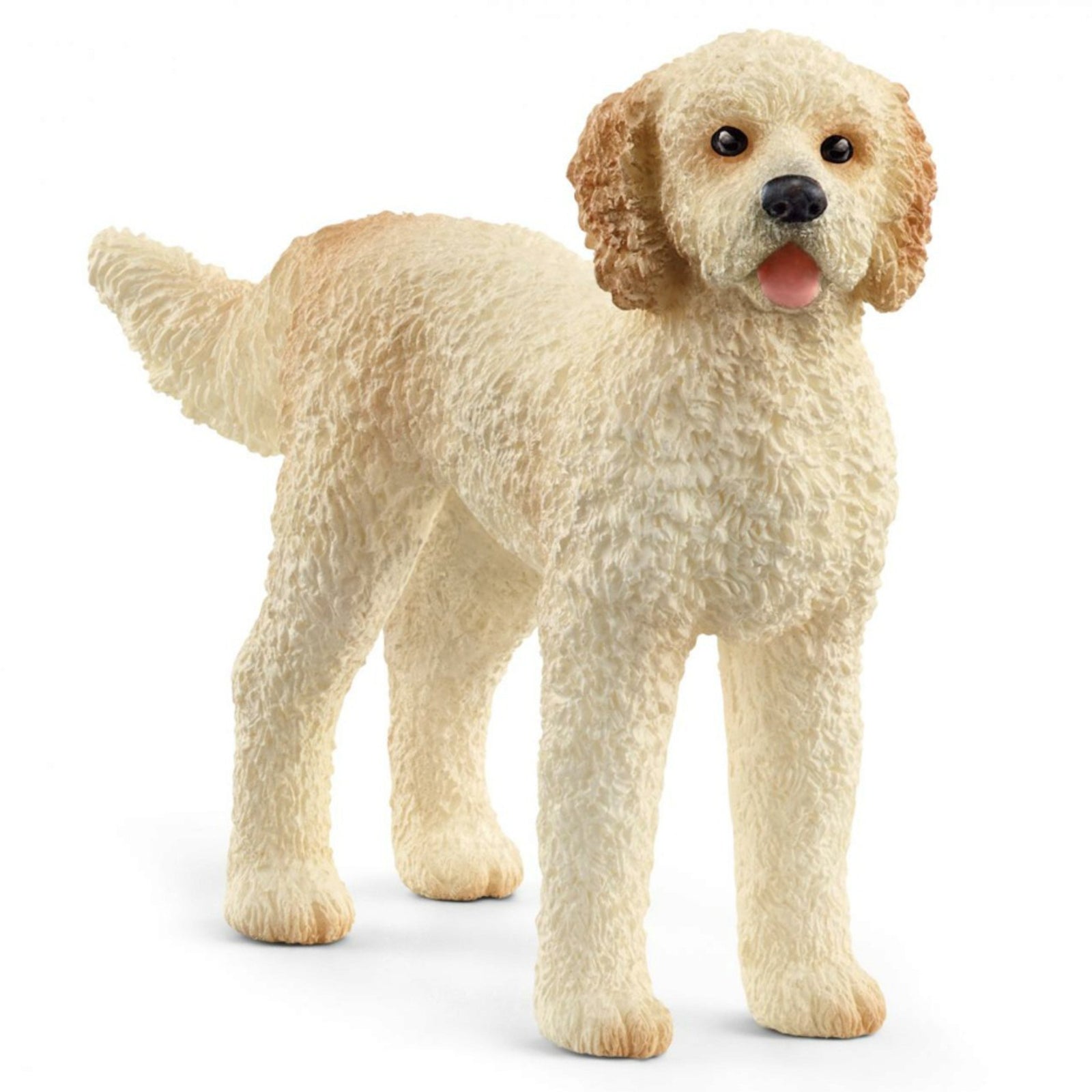 SC13939 Goldendoodle