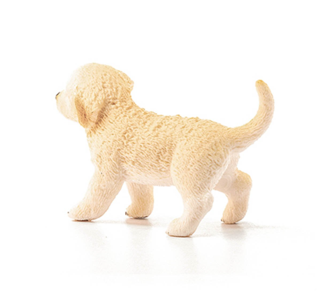 SC16396 Golden Retriever Puppy