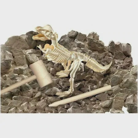 Smithsonian Diggin Up Dino&#39;s T Rex