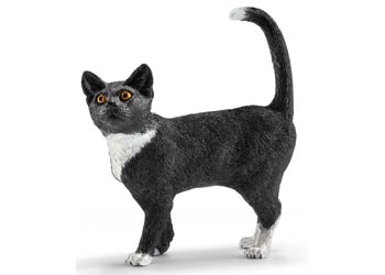 SC13770 Cat Standing